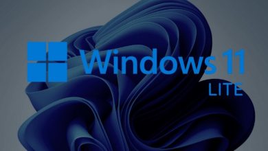 Download Windows 11 ISO 64 Bit Installation
