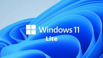 Install Windows 11 Lite for PC 32/64 Bit